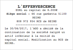 publication legale continuation activite malgre pertes